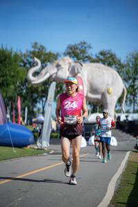 BIB: 
                            <button type="button" onclick="openModal(26542398)" class="btn btn-primary btn-sm float-right btn-popup" data-toggle="modal" data-target=".modal-high-quality">
                        <i class="fas fa-shopping-cart"></i> Add to Cart
                    </button>
                                            <button type="button" onclick="isThisMe(26542398, true)" class="btn btn-success btn-sm float-right btn-popup btn-isme hidden" data-toggle="tooltip" data-placement="bottom" title="นี่คือรูปของคุณใช่ไหม คลิกที่นี่เพื่อเอาเข้าอัลบั้ม">
                        <i class="fas fa-plus"></i> Add to album
                    </button>
                    <button type="button" onclick="isThisMe(26542398, false)" class="btn btn-warning btn-sm float-right btn-popup btn-isnotme hidden">
                        <i class="fas fa-ban"></i> Remove from album
                    </button>